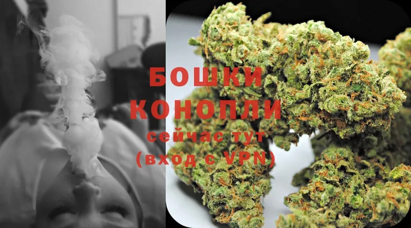 kraken онион  где купить наркоту  Нелидово  Бошки Шишки LSD WEED 